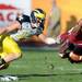 Michigan safety Jordan Kovacs reaches after South Carolina wide receiver Nick Jones as he flies through the air during the second half of the Outback Bowl at Raymond James Stadium in Tampa, Fla. on Tuesday, Jan. 1. Melanie Maxwell I AnnArbor.com